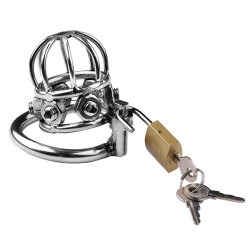 CockLock Cage de chasteté en métal Spike Cock 6 x 3.2cm